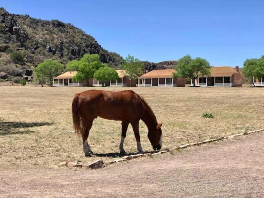 Cottonwood Creek Cabins - Alpine, Tx Exterior foto