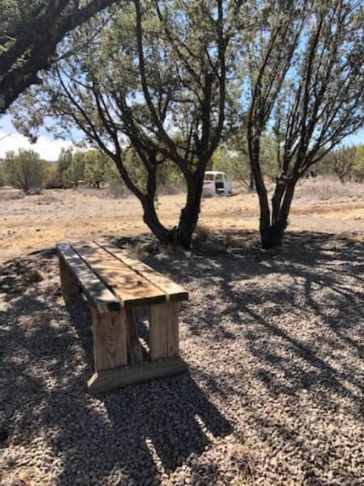 Cottonwood Creek Cabins - Alpine, Tx Exterior foto